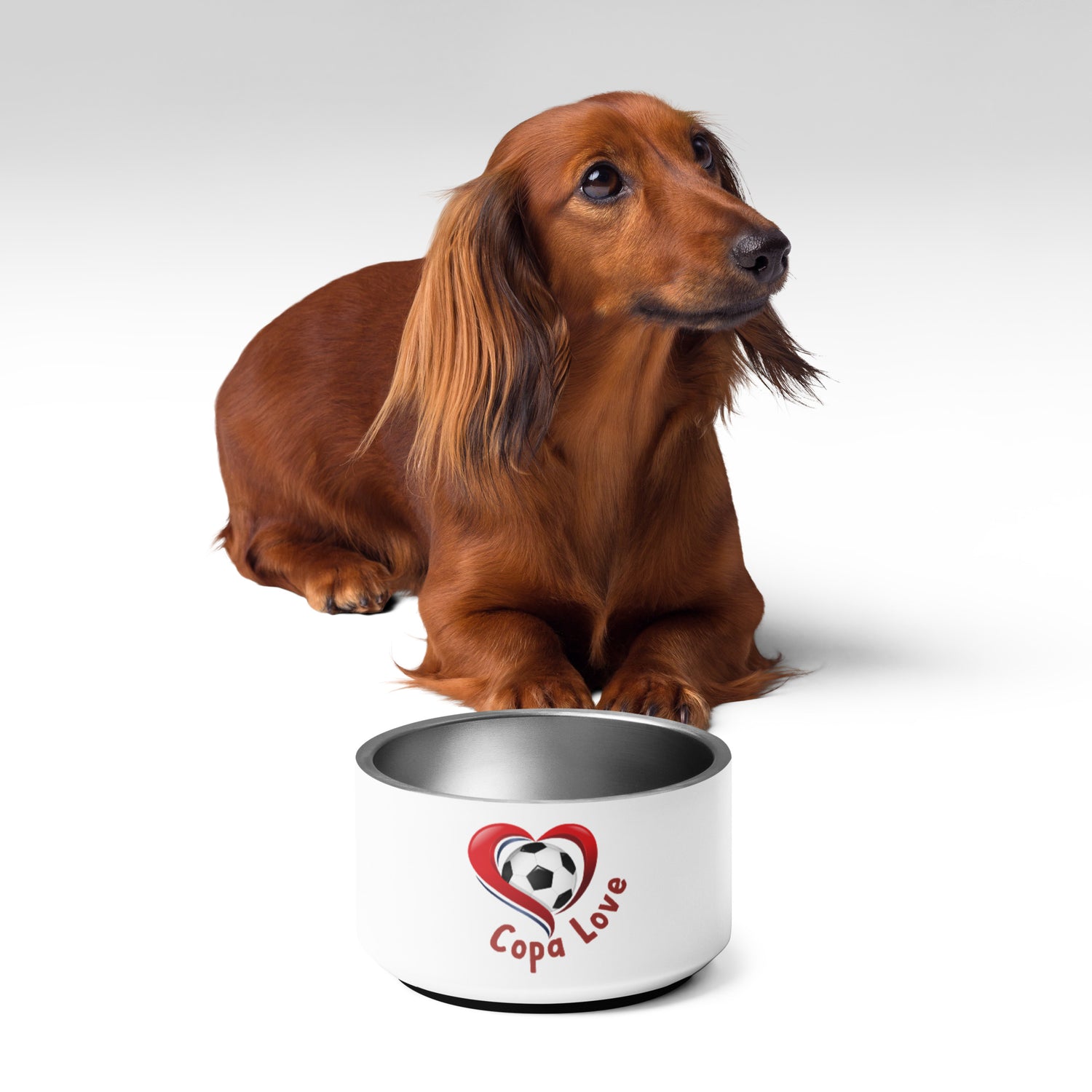 COPA LOVE - Pet bowl